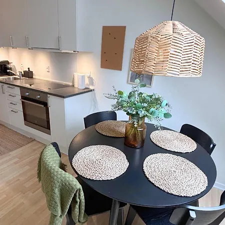 Appartement Charmerende Taglejlighed Odense